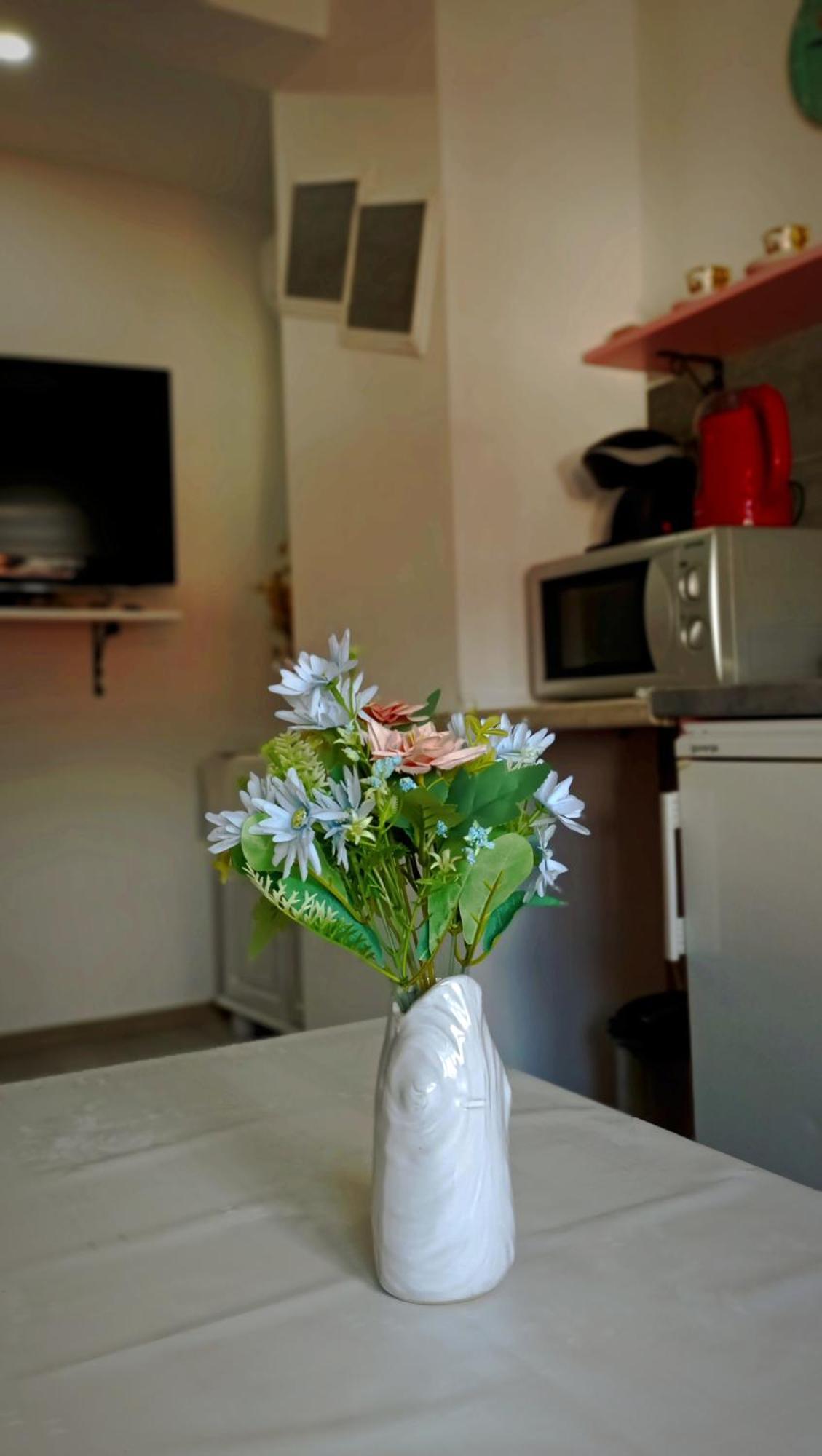 מוסטר Apartman Orhan מראה חיצוני תמונה
